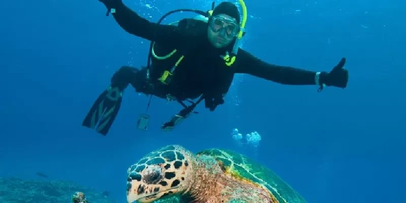Snorkeling à Sataya Dolphin Reef à Marsa Alam